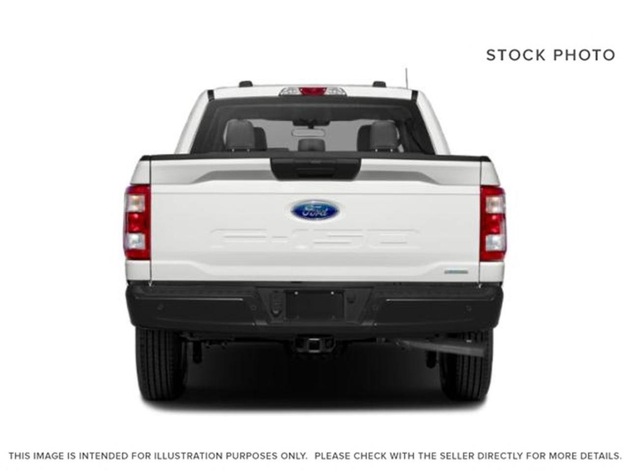 2023 Ford F-150 XLT Photo3