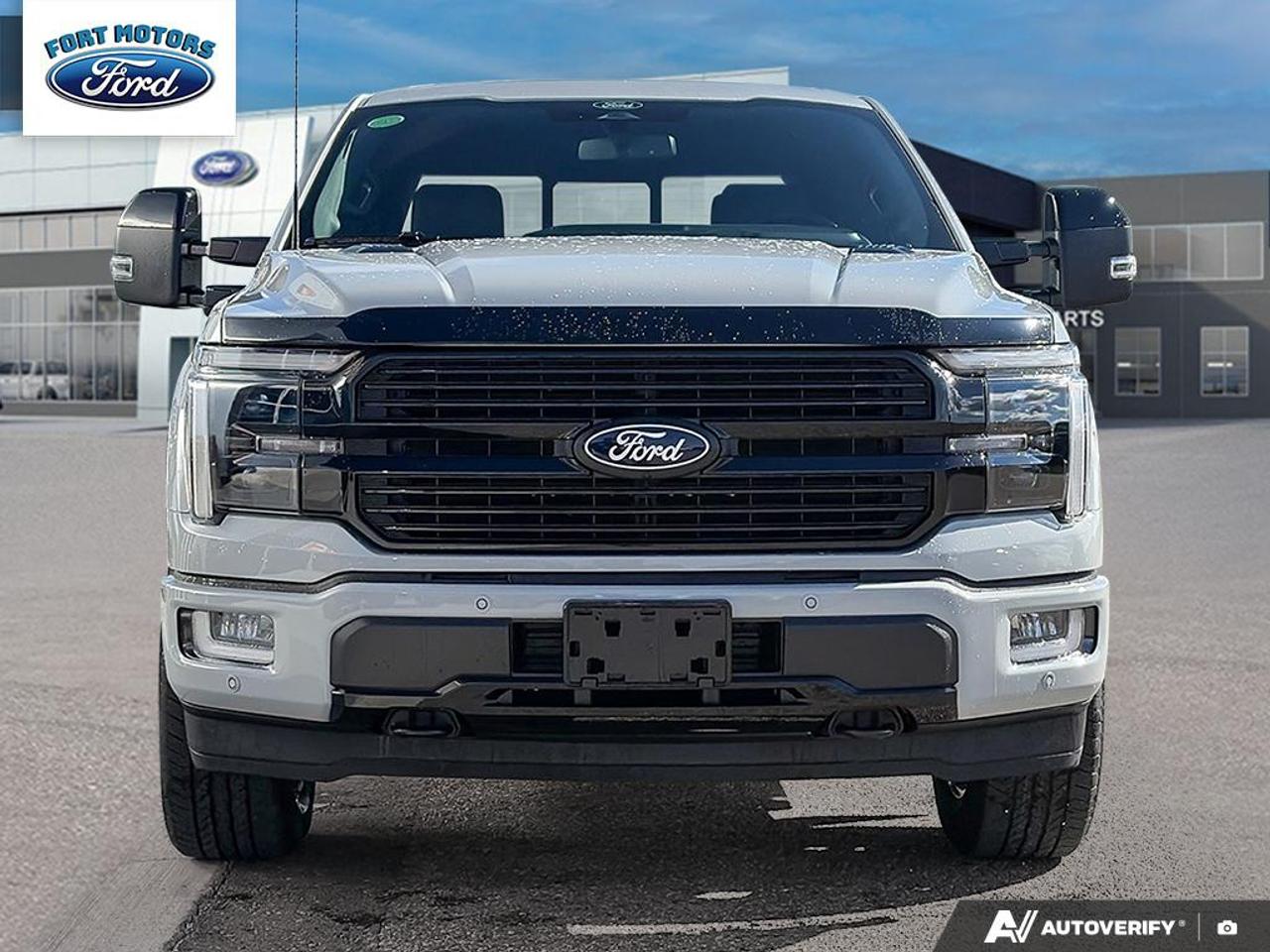 2026 Ford F-150 Platinum Photo1