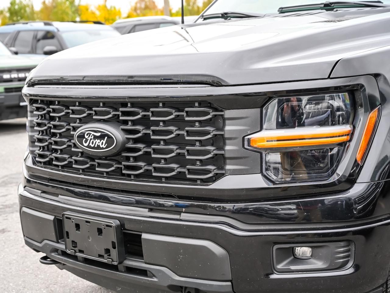 2024 Ford F-150 STX Photo