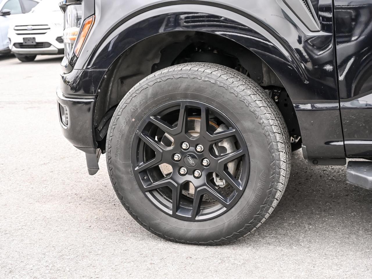 2024 Ford F-150 STX Photo
