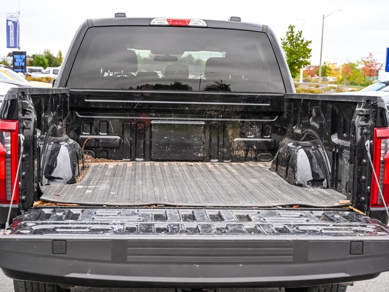 2024 Ford F-150 STX Photo