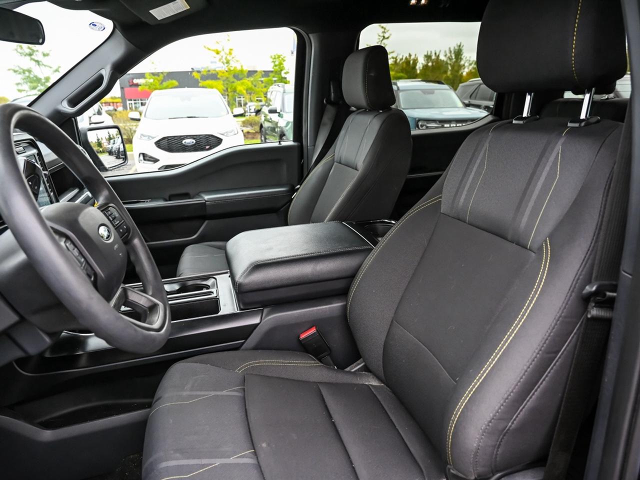 2024 Ford F-150 STX Photo