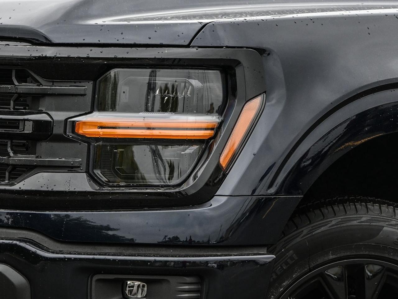 2026 Ford F-150 XLT Photo