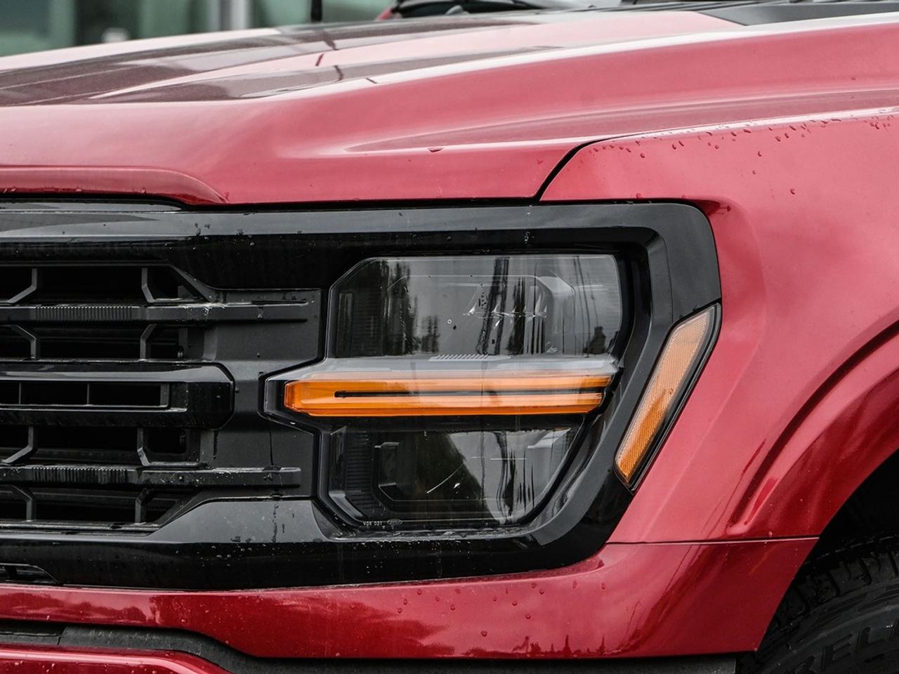 2026 Ford F-150 XLT Photo5