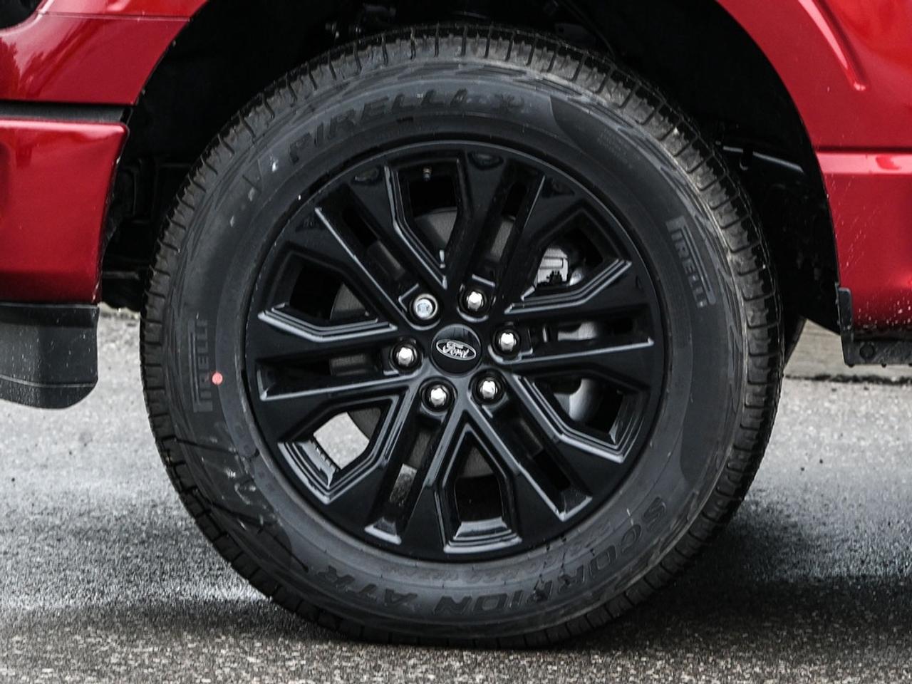 2026 Ford F-150 XLT Photo