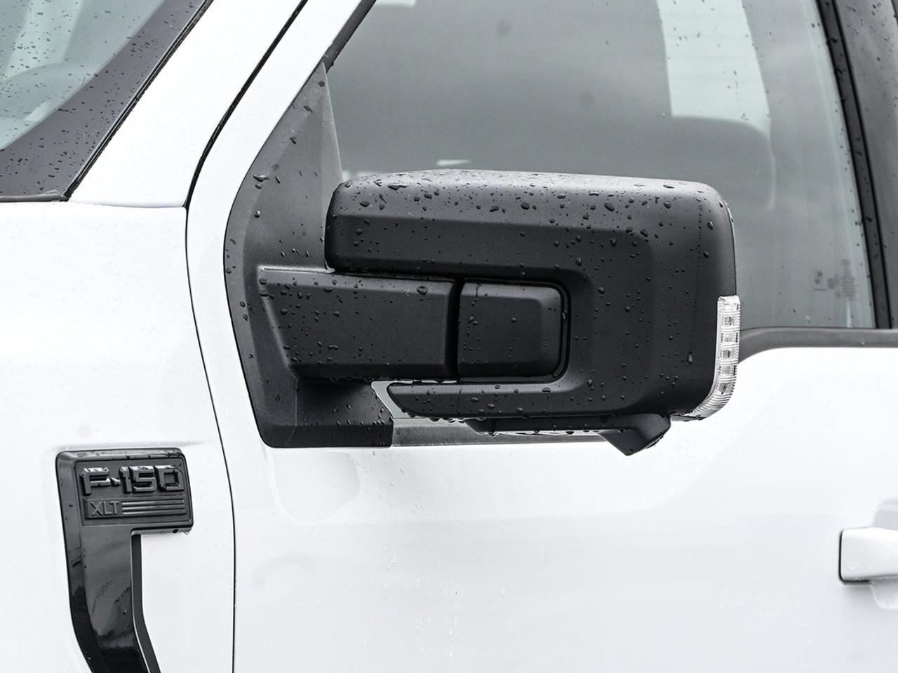 2026 Ford F-150 XLT Photo