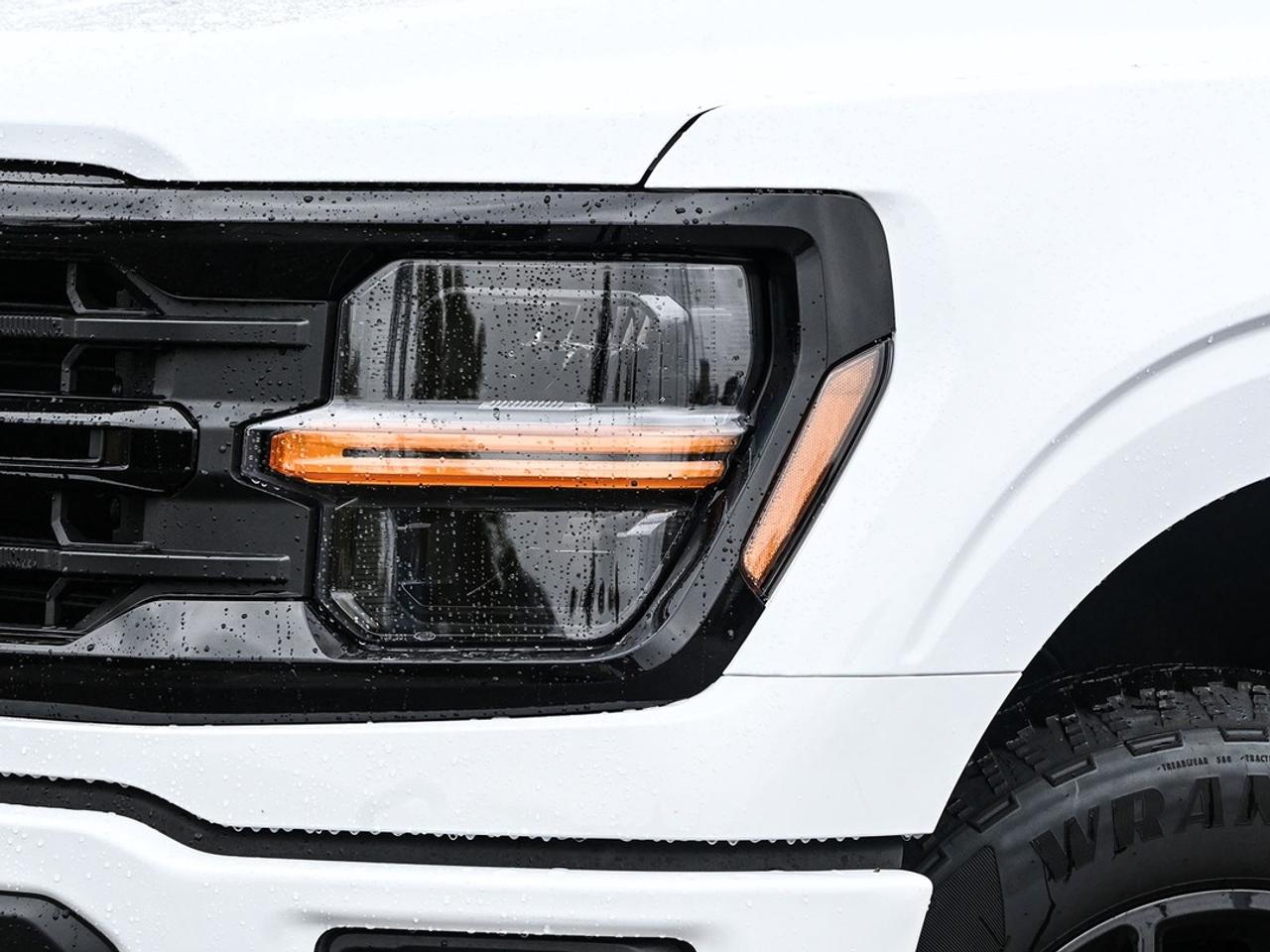 2026 Ford F-150 XLT Photo