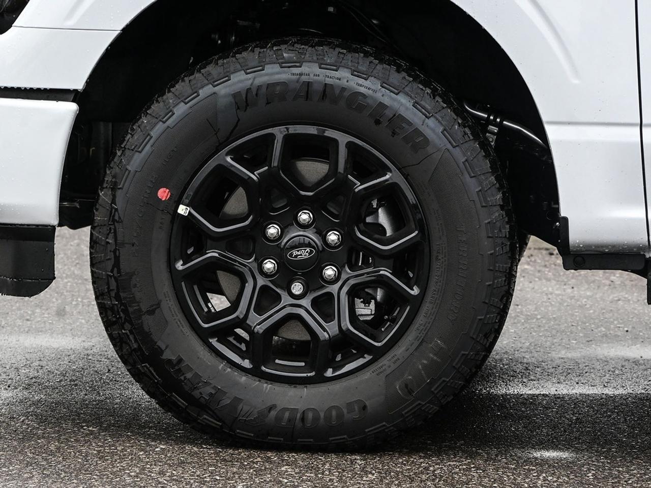 2026 Ford F-150 XLT Photo