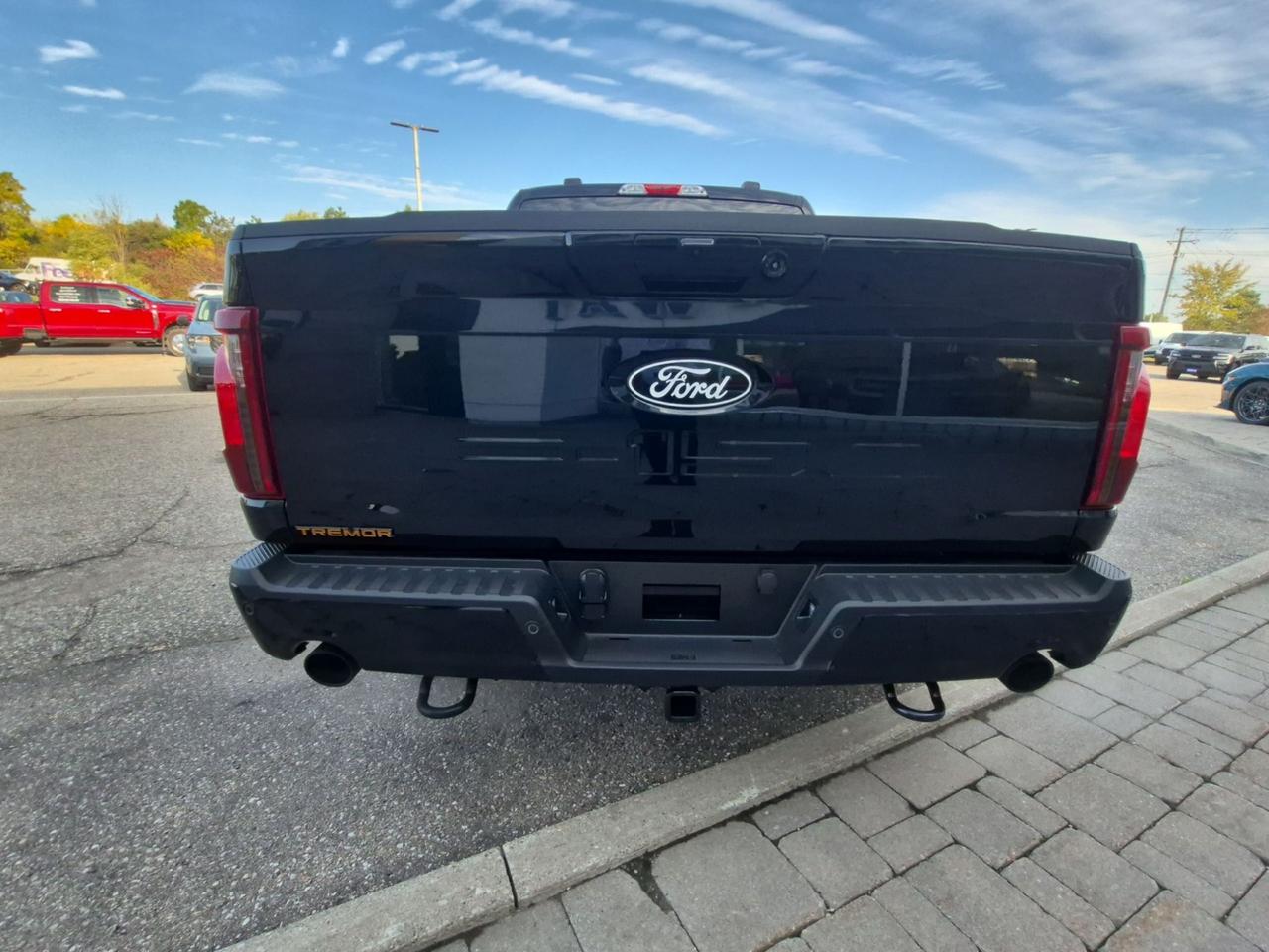 2026 Ford F-150 TREMOR, MOONROOF, PRO POWER, TOW/HAUL PKG Photo4