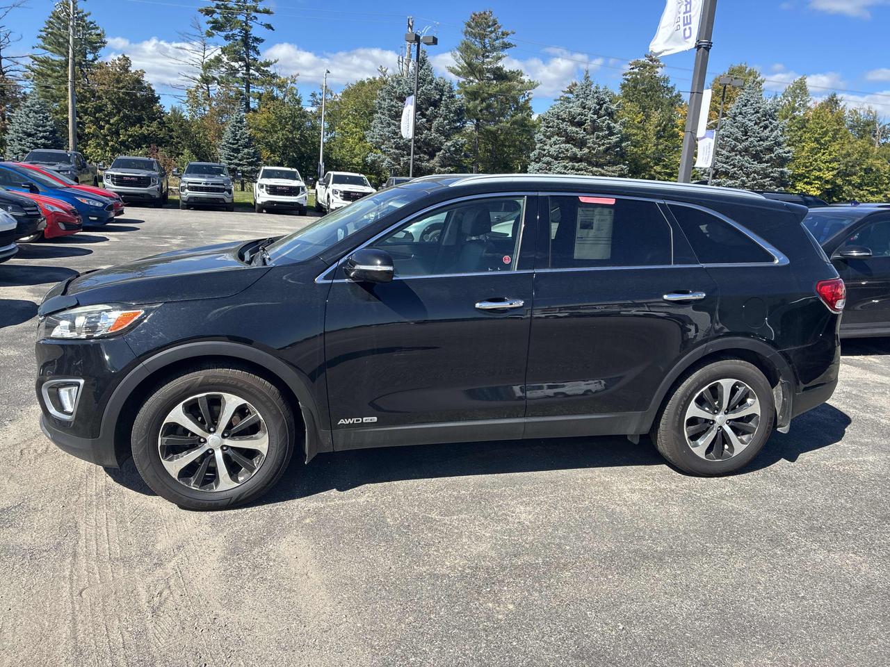 2017 Kia Sorento EX V6 Photo