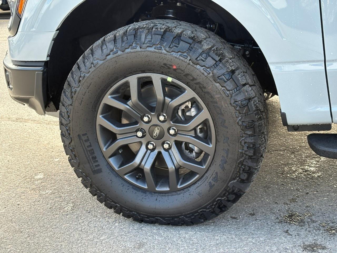 2026 Ford F-150 Tremor 4WD SuperCrew 5.5' Box Photo