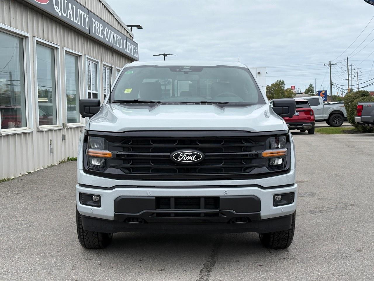 2026 Ford F-150 XLT 4WD SuperCrew 5.5' Box Photo