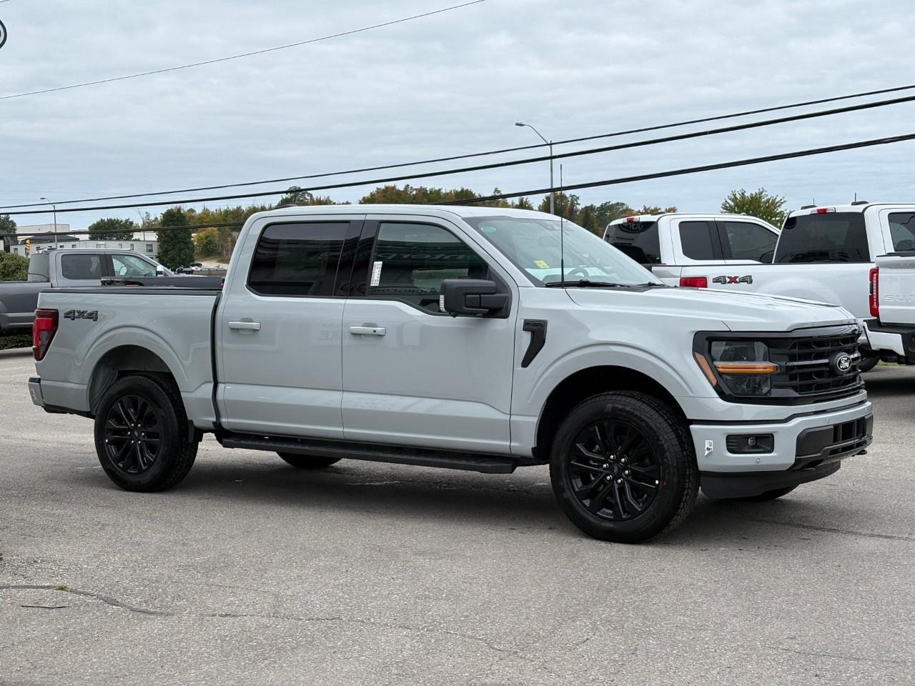 2026 Ford F-150 XLT 4WD SuperCrew 5.5' Box Photo