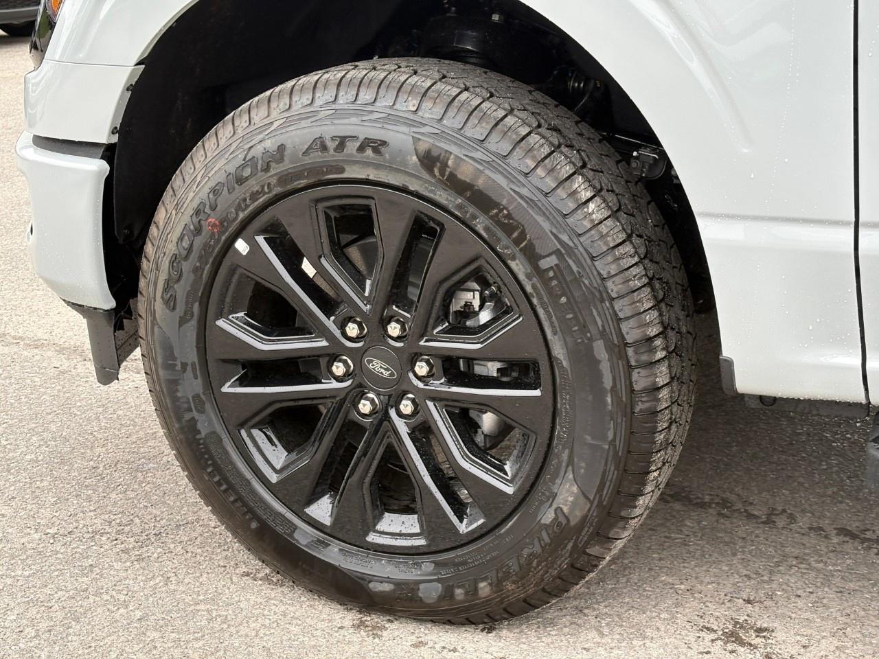 2026 Ford F-150 XLT 4WD SuperCrew 5.5' Box Photo