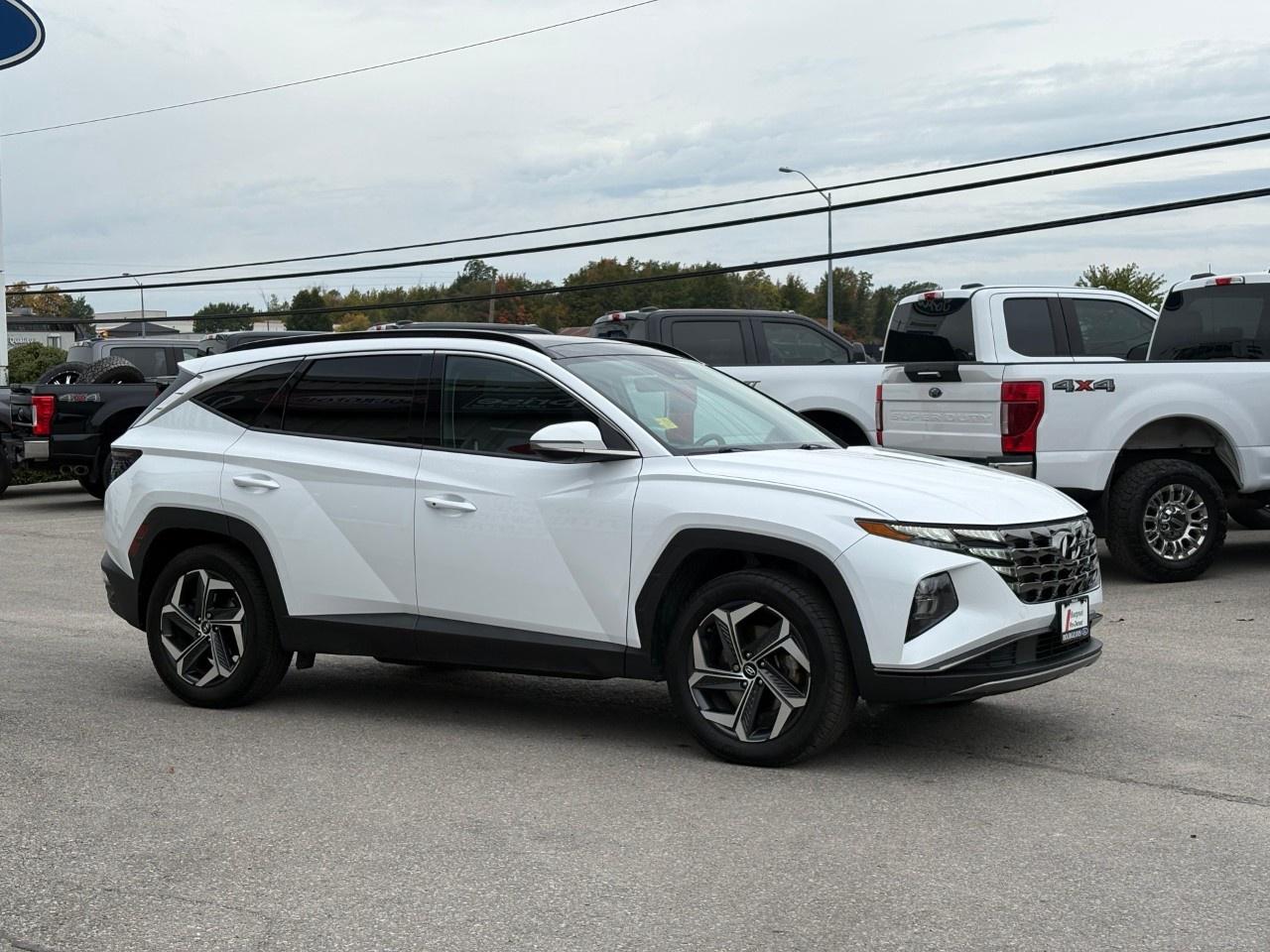 2022 Hyundai Tucson Hybrid Luxury AWD Photo4
