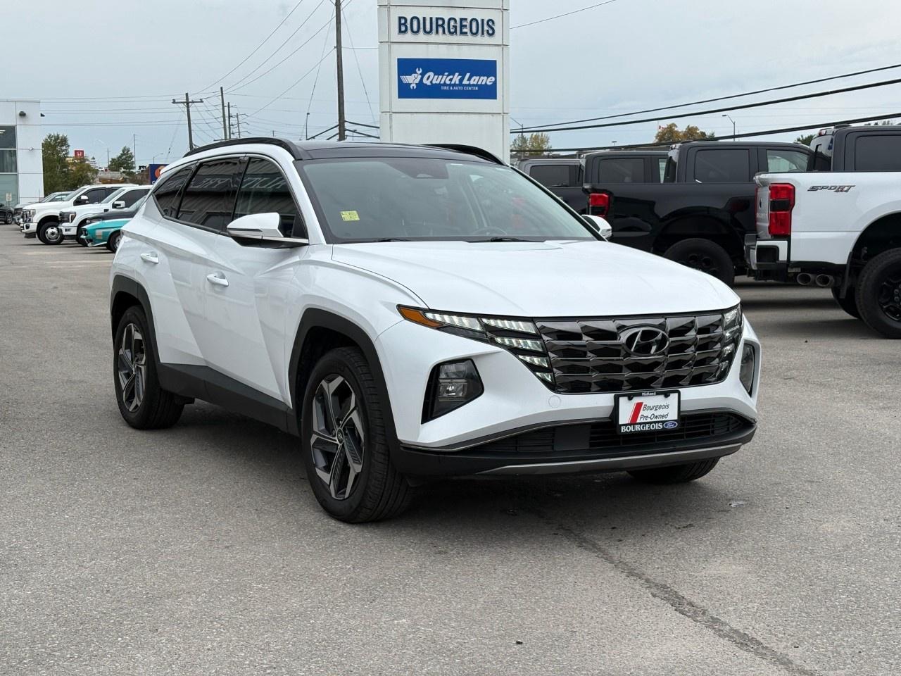 2022 Hyundai Tucson Hybrid Luxury AWD Photo