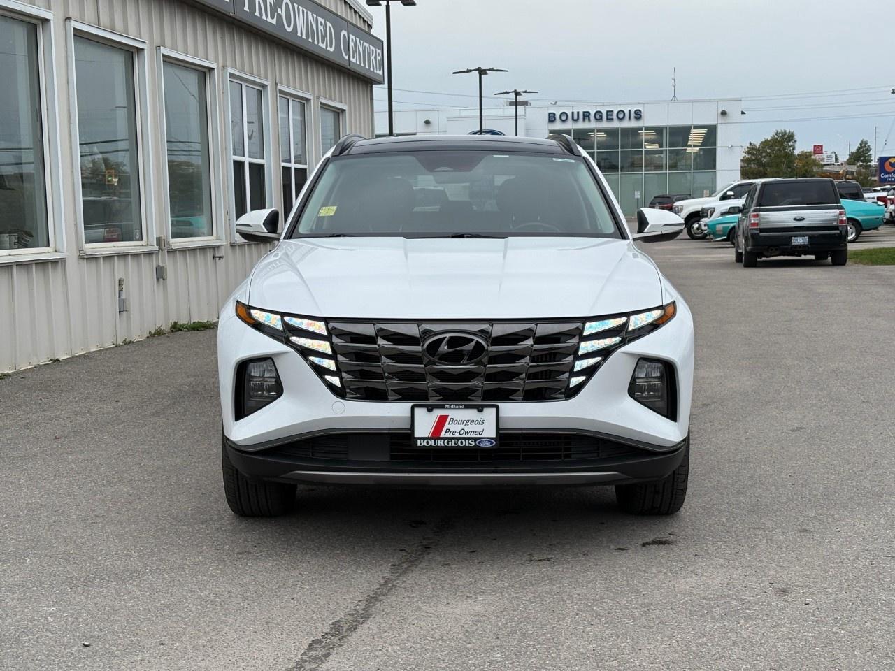 2022 Hyundai Tucson Hybrid Luxury AWD Photo