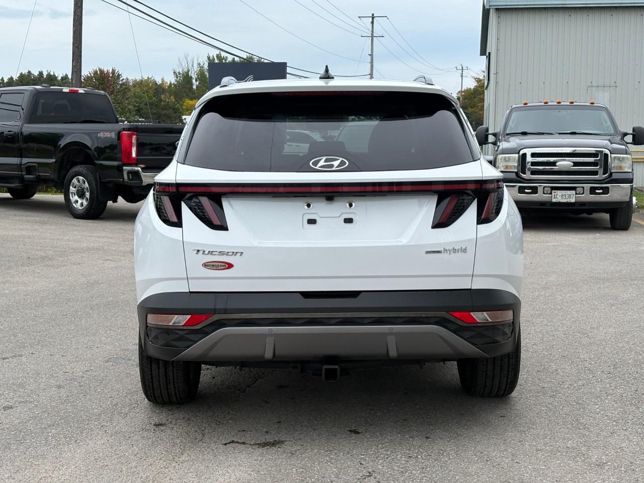 2022 Hyundai Tucson Hybrid Luxury AWD Photo