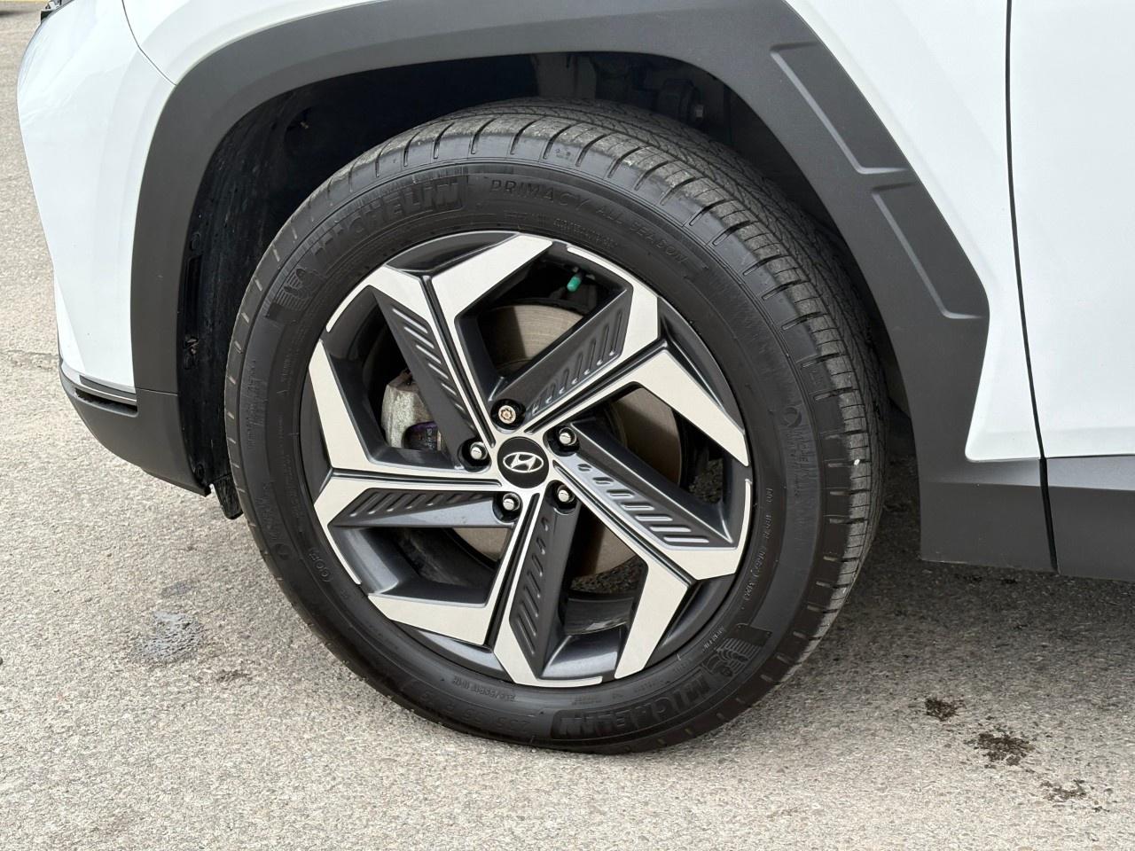 2022 Hyundai Tucson Hybrid Luxury AWD Photo