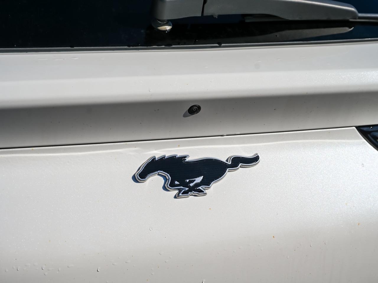 2023 Ford Mustang Mach-E California Route 1 Photo