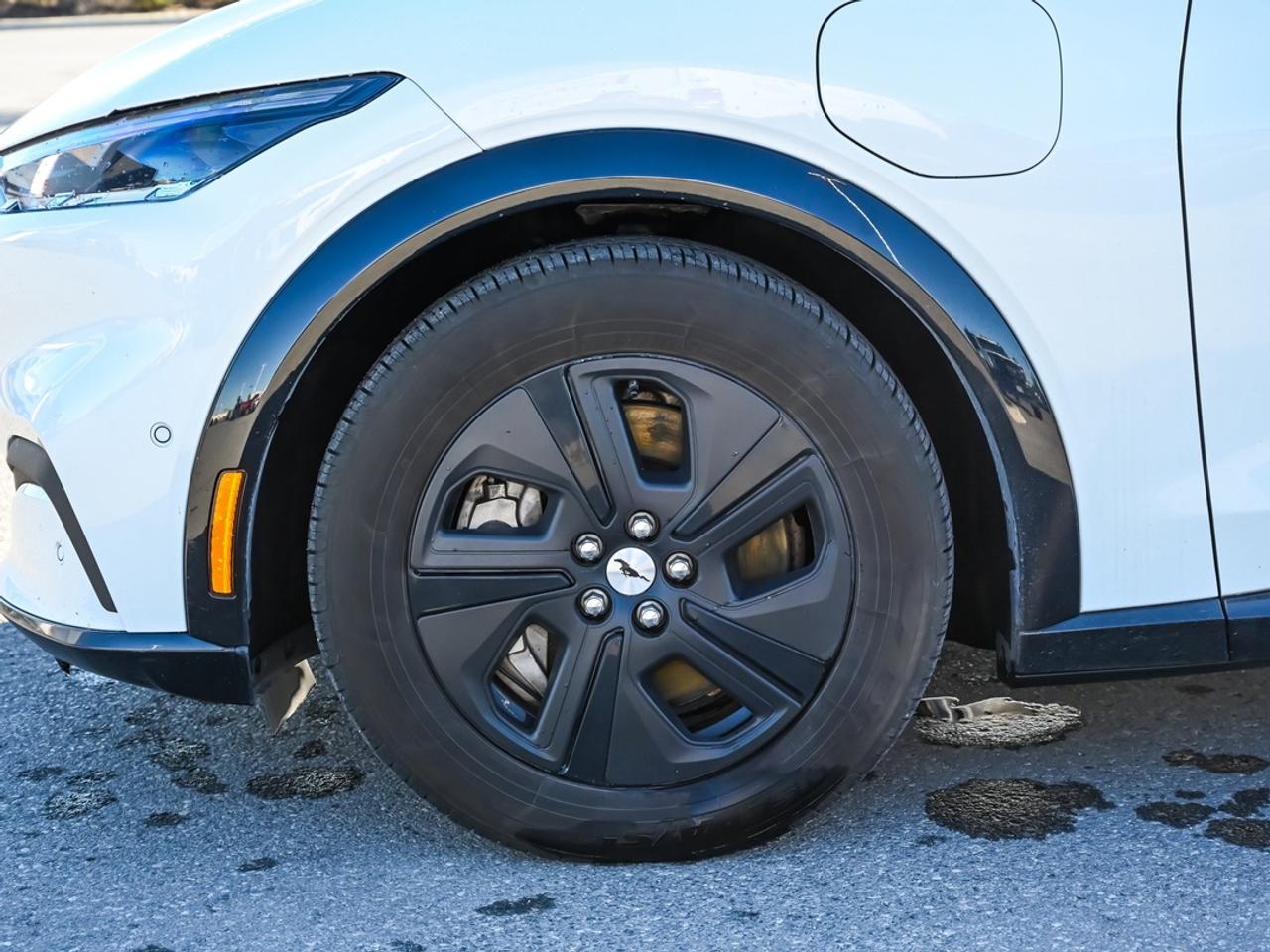 2023 Ford Mustang Mach-E California Route 1 Photo