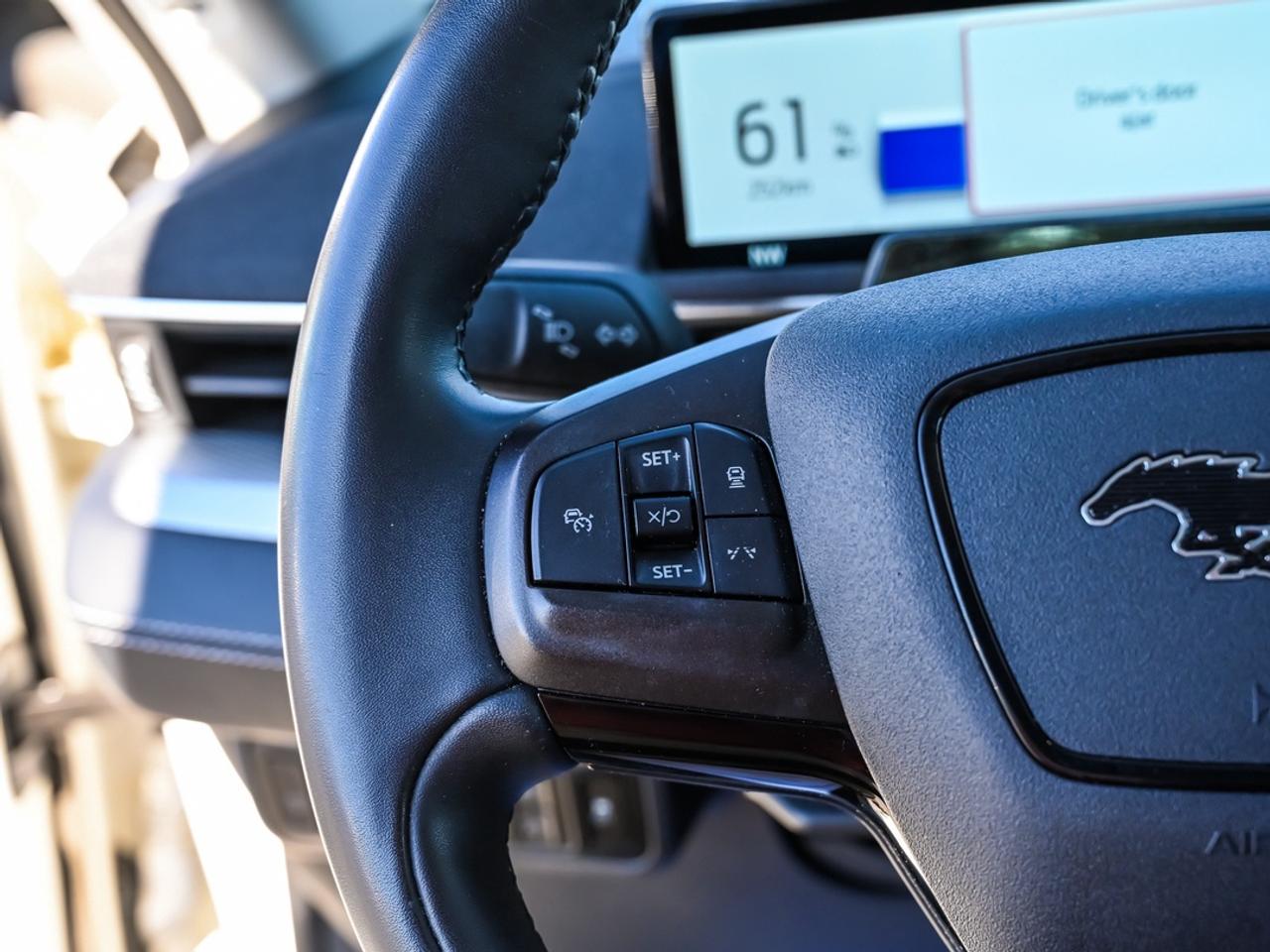 2023 Ford Mustang Mach-E California Route 1 Photo