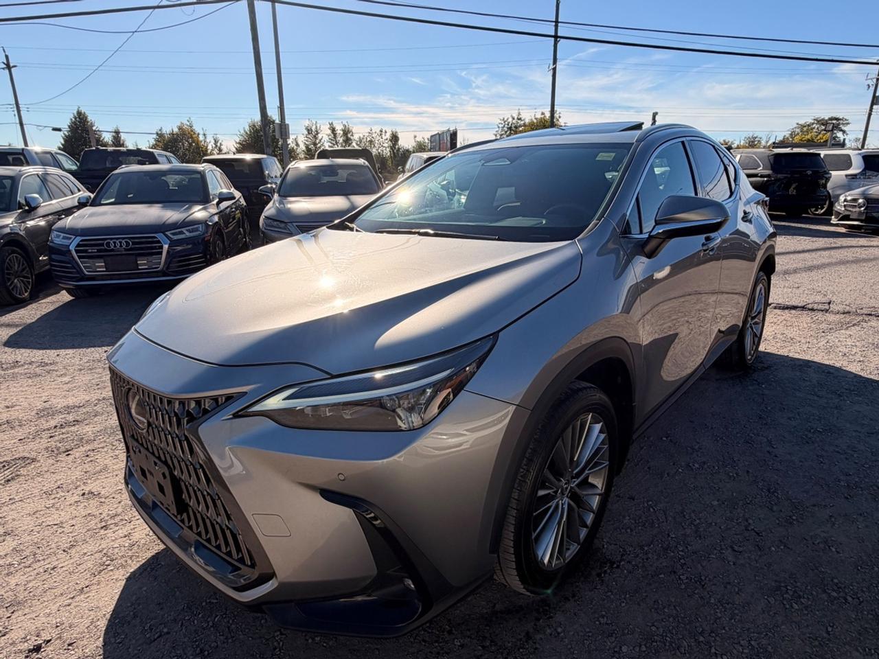 2022 Lexus NX 350 Photo0