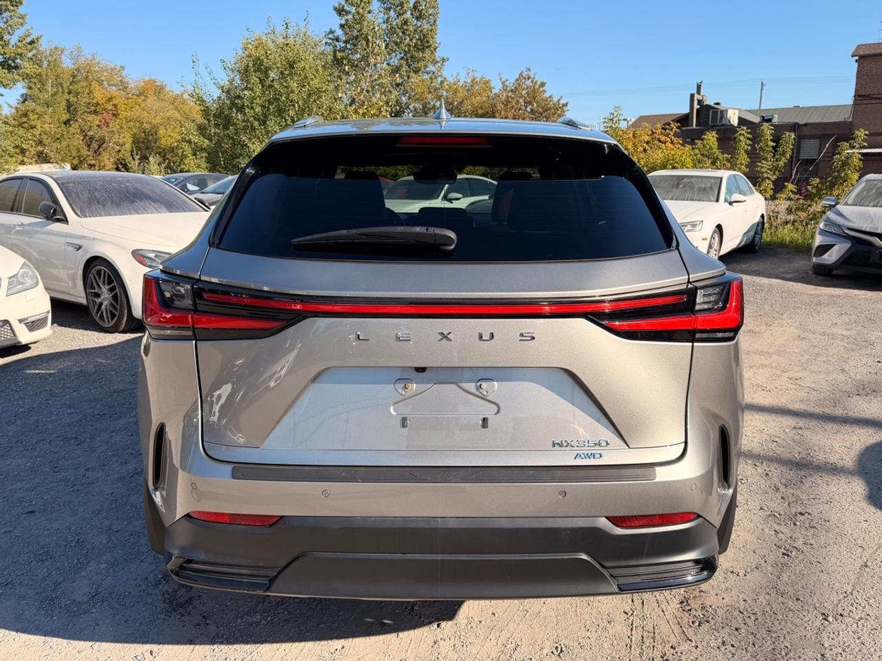 2022 Lexus NX 350 Photo
