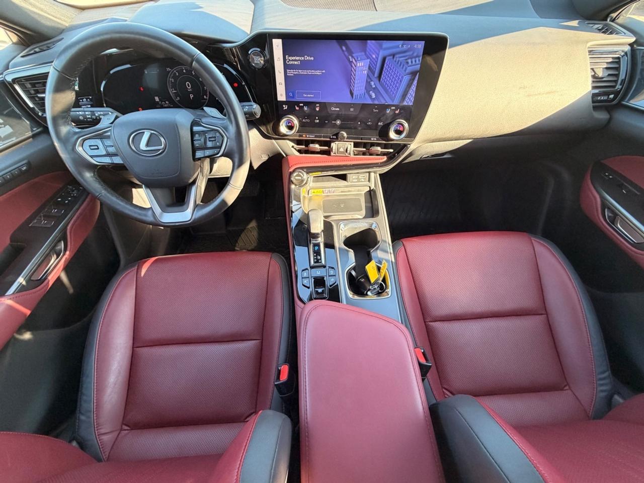 2022 Lexus NX 350 Photo