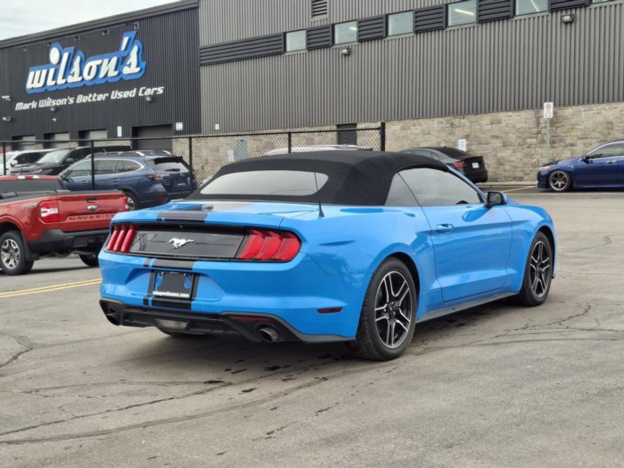 2022 Ford Mustang EcoBoost Premium | Leather | Nav | Cooled + Heated Seats | Adaptive Cruise | CarPlay and More ! Photo