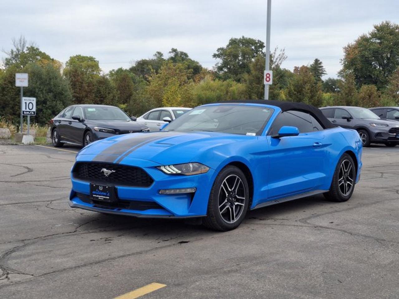 2022 Ford Mustang EcoBoost Premium | Leather | Nav | Cooled + Heated Seats | Adaptive Cruise | CarPlay and More ! Photo