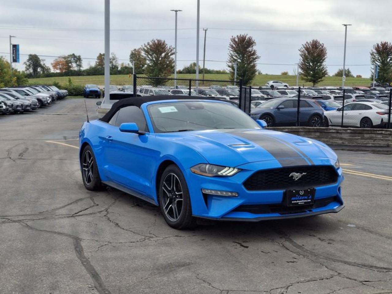 2022 Ford Mustang EcoBoost Premium | Leather | Nav | Cooled + Heated Seats | Adaptive Cruise | CarPlay and More ! Photo