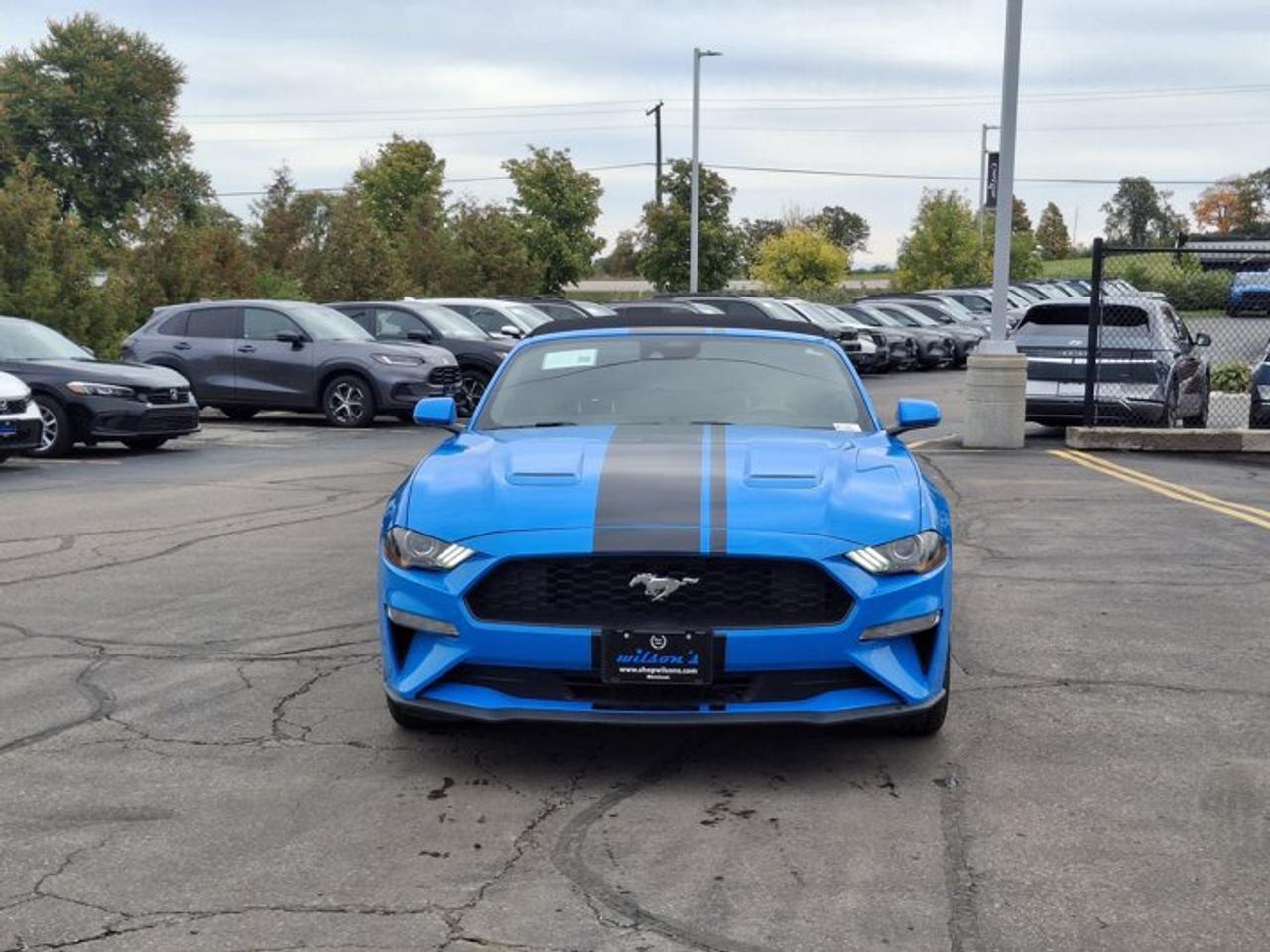 2022 Ford Mustang EcoBoost Premium | Leather | Nav | Cooled + Heated Seats | Adaptive Cruise | CarPlay and More ! Photo