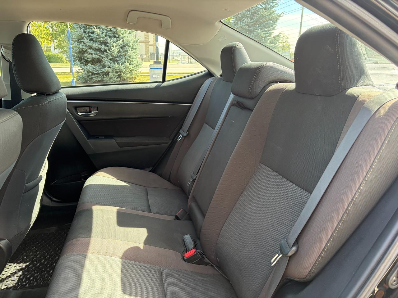 2019 Toyota Corolla LE Photo