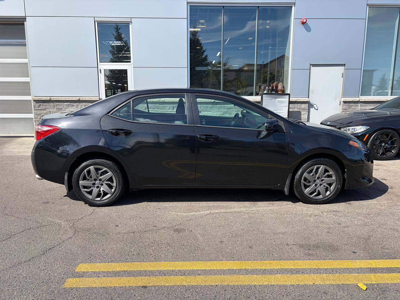 2019 Toyota Corolla LE Photo