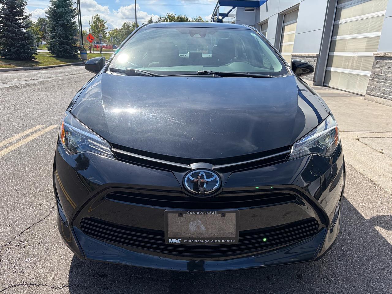2019 Toyota Corolla LE Photo