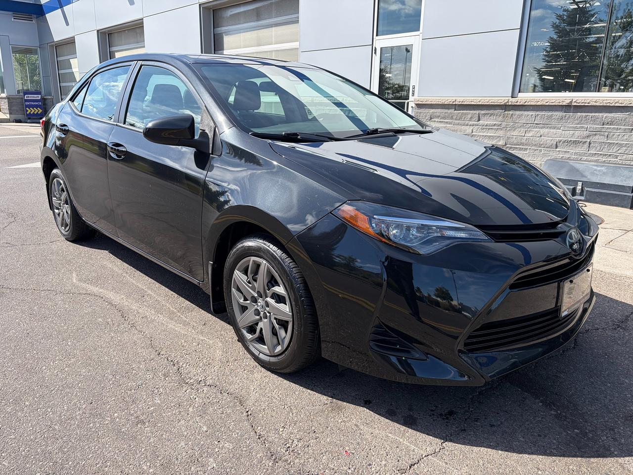 2019 Toyota Corolla LE Photo