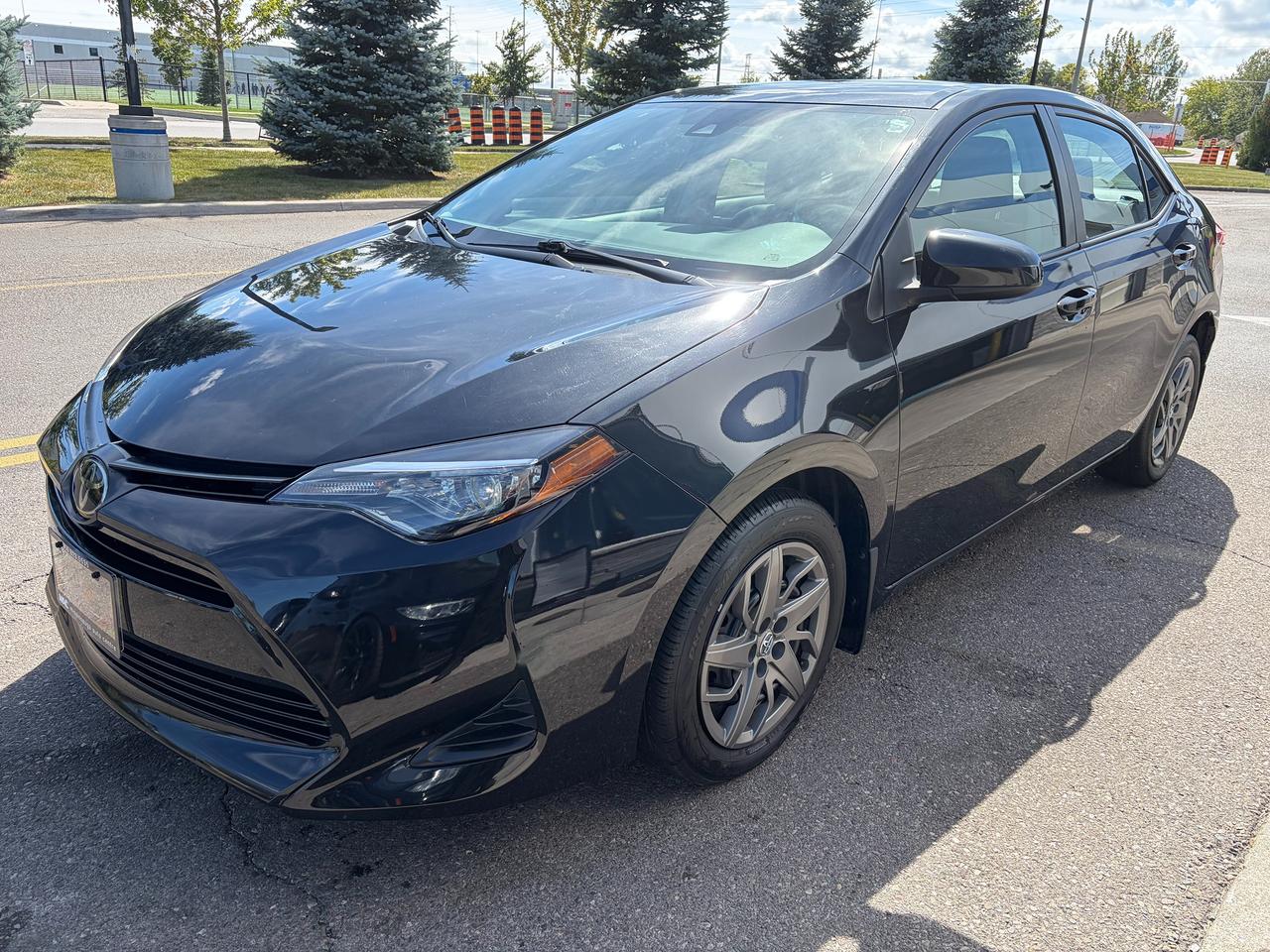 2019 Toyota Corolla LE Photo