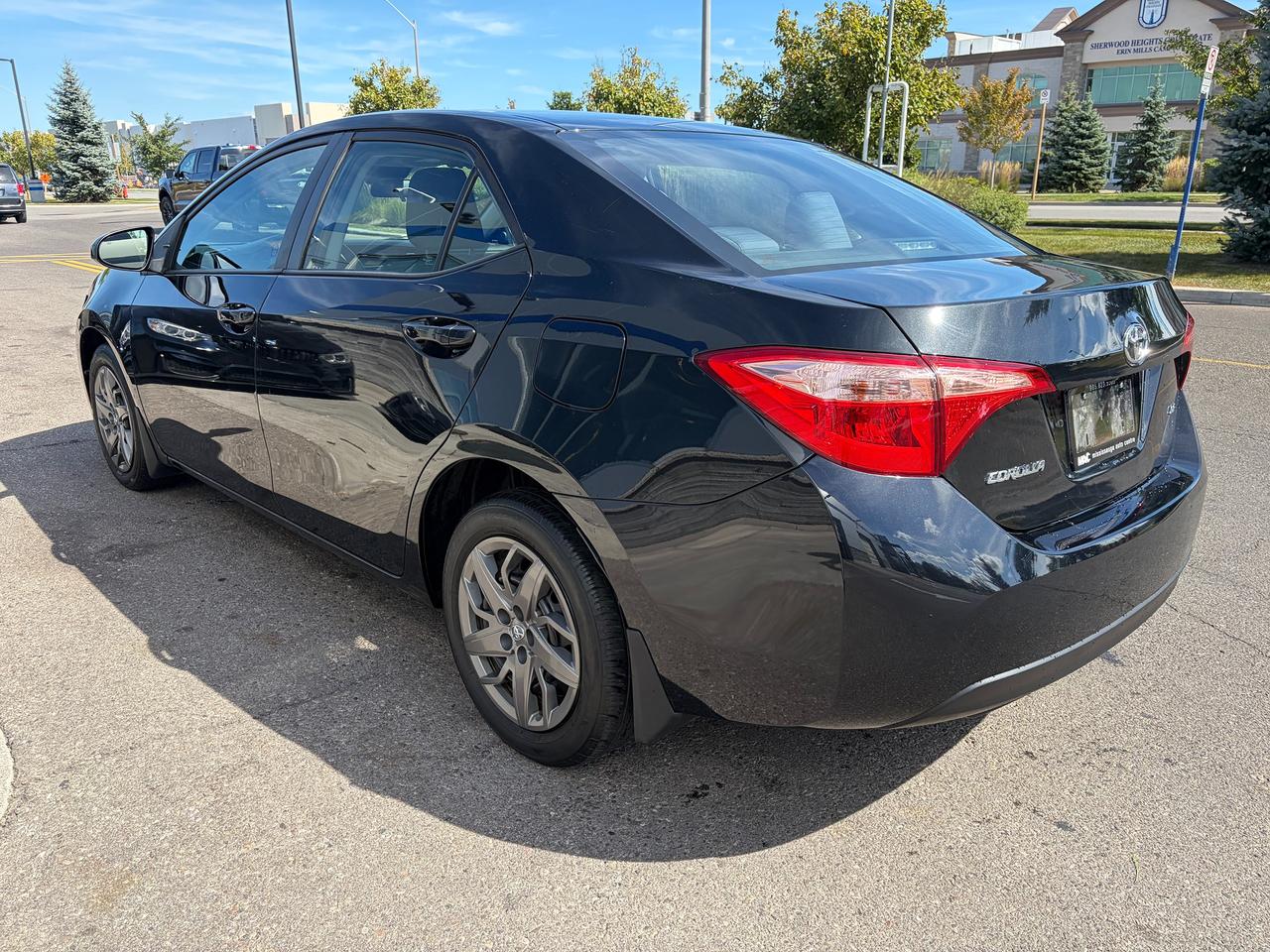 2019 Toyota Corolla LE Photo