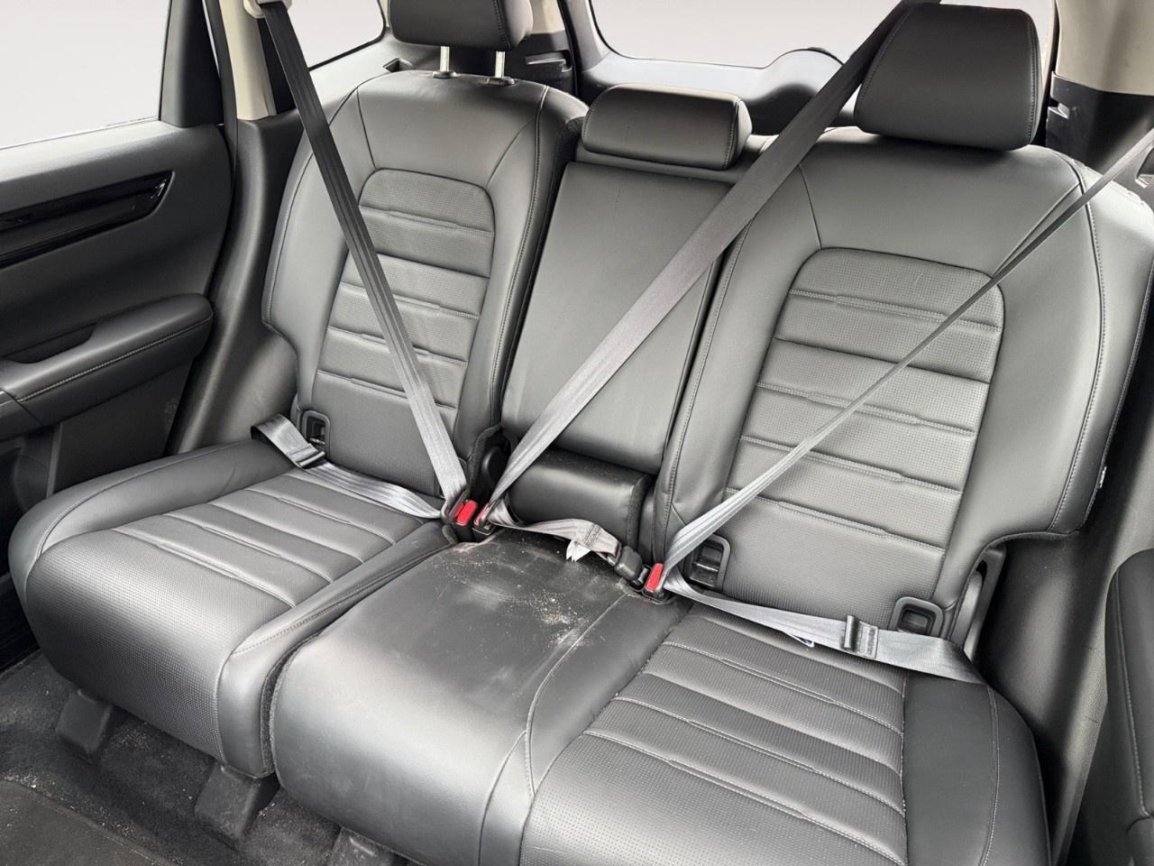 2023 Honda CR-V EX-L AWD Photo