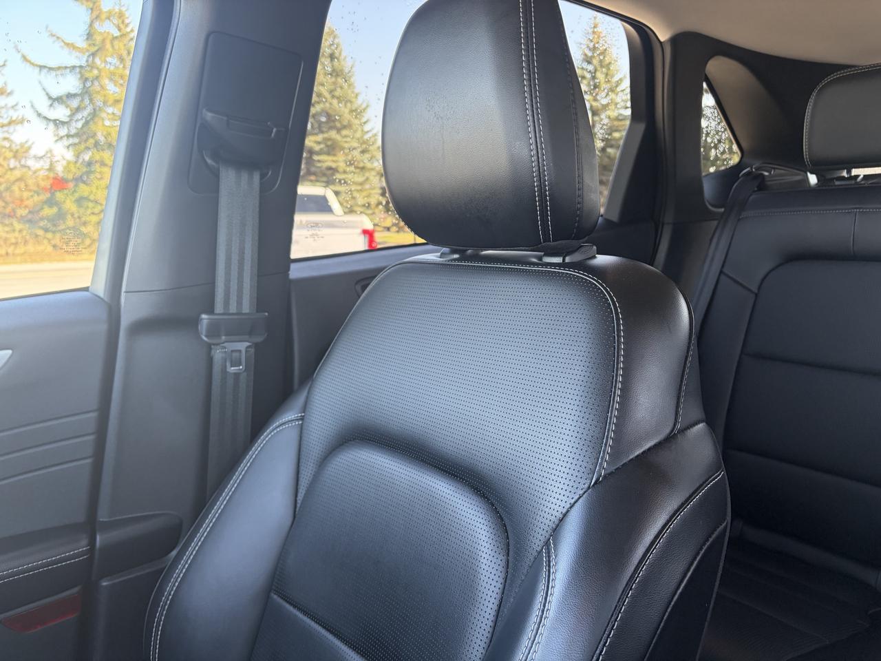 2023 Ford Escape Ford Blue Advantage - Platinum Hybrid AWD Photo