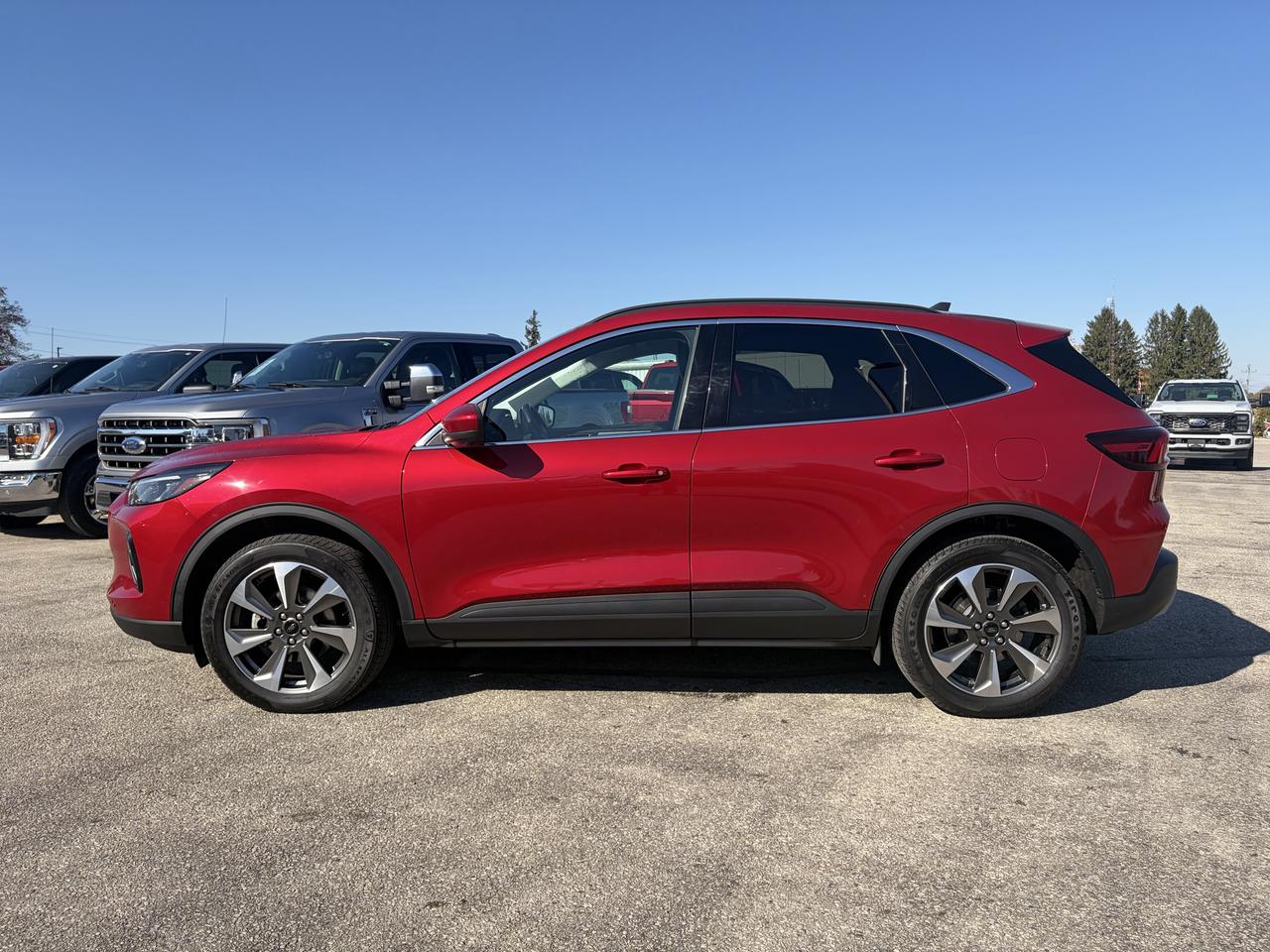 2023 Ford Escape Ford Blue Advantage - Platinum Hybrid AWD Photo3