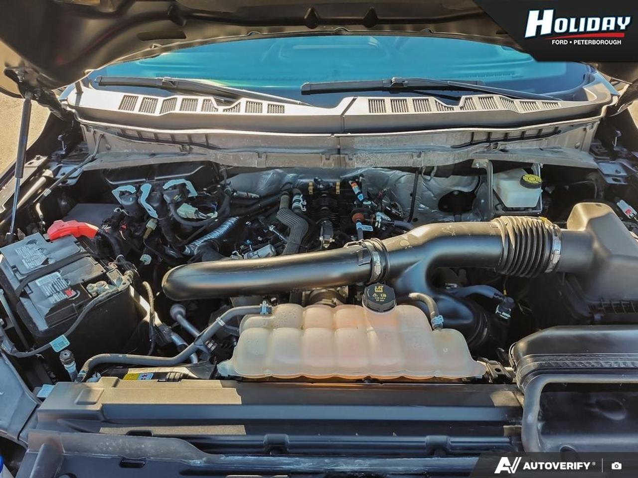 2024 Ford F-150 Tremor Photo