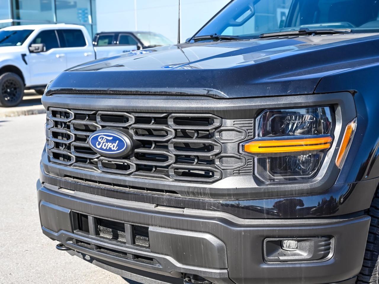 2026 Ford F-150 STX Photo