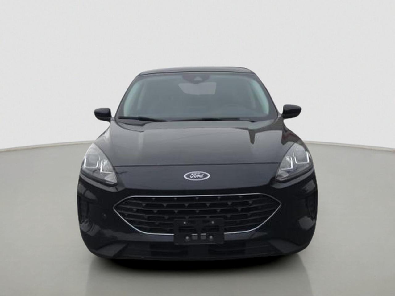 2021 Ford Escape SE AWD Photo