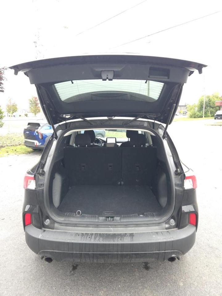 2021 Ford Escape SE AWD Photo