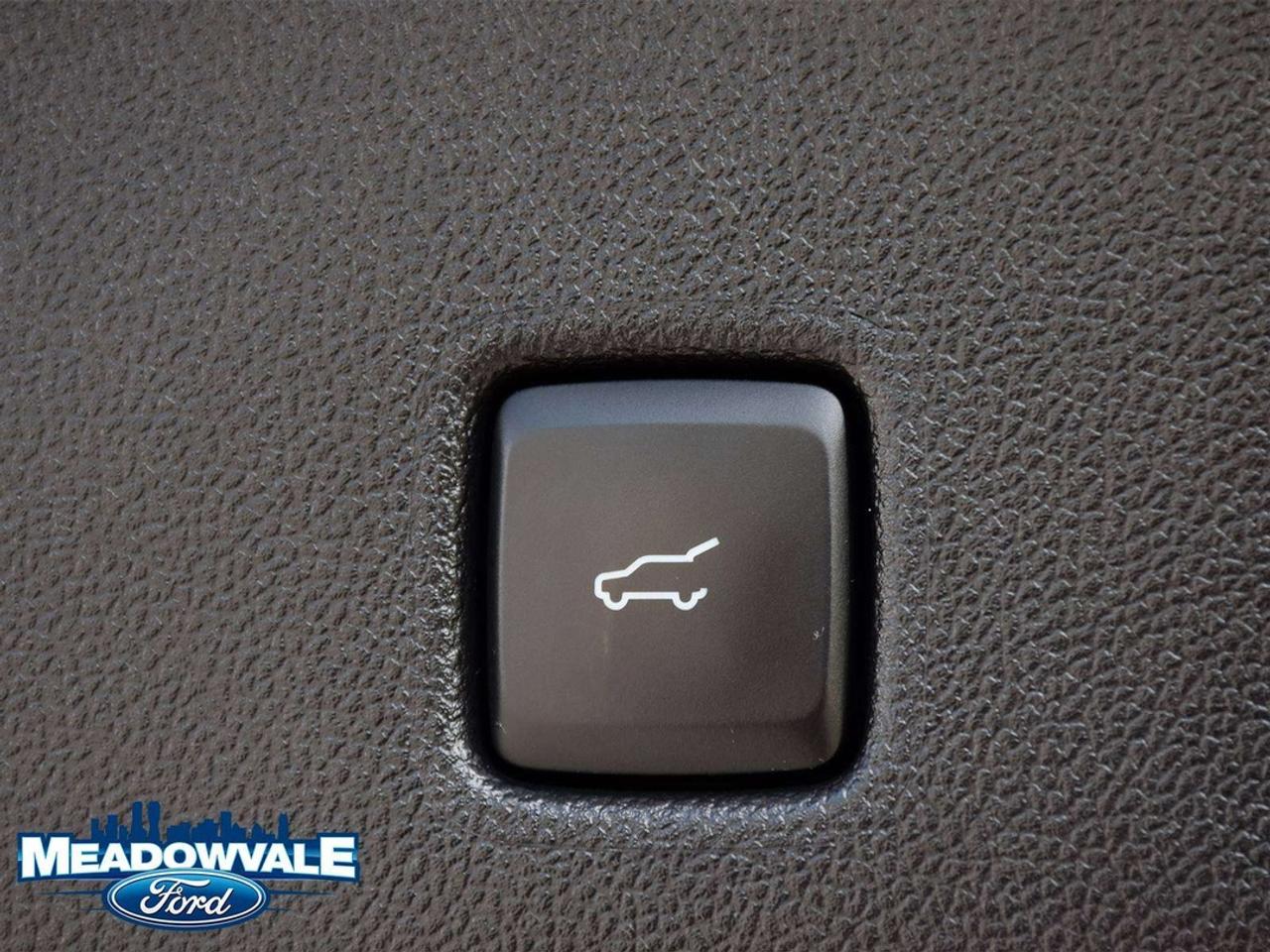 2022 Ford Escape SEL Photo