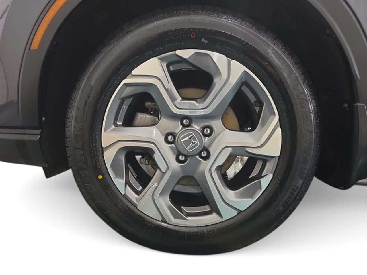 2023 Honda CR-V EX-L Photo