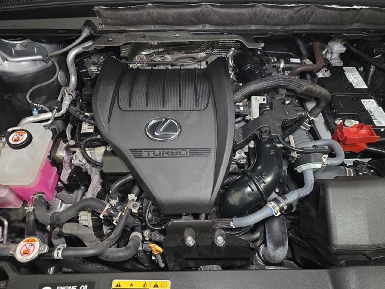 2024 Lexus RX 350 350 Photo