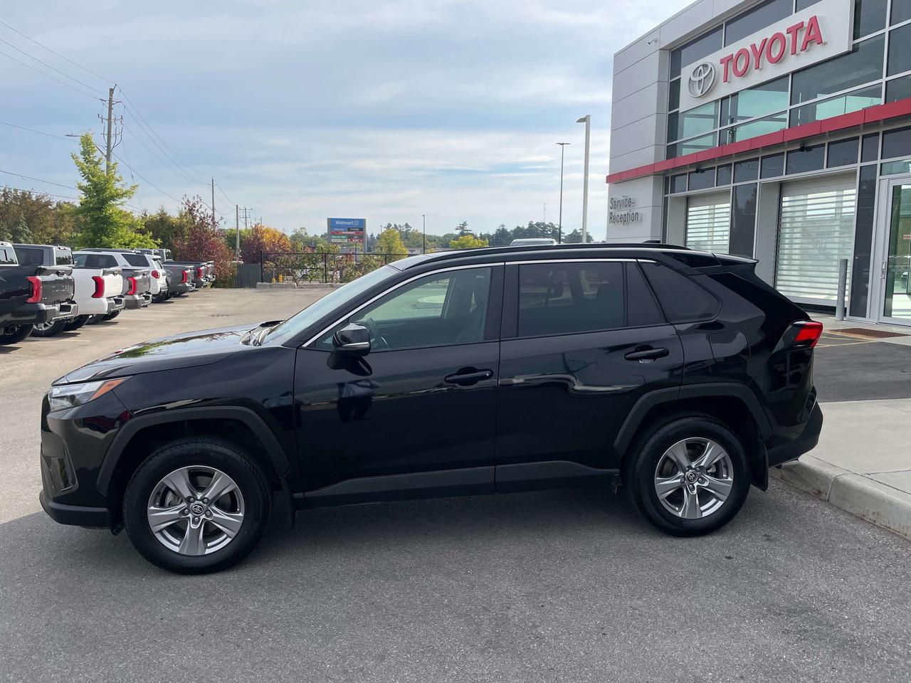 2025 Toyota RAV4 XLE AWD Photo